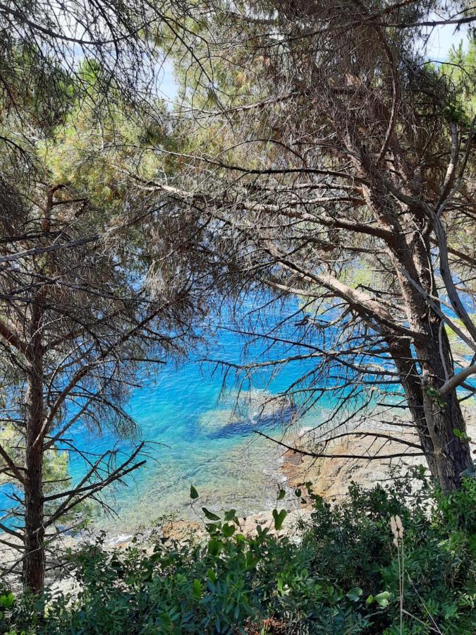 Appartamento I Soffioni Λα Σπέτσια Εξωτερικό φωτογραφία